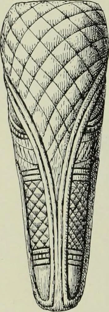 An illustration from Die altgermanische thierornamentik; typologische studie über germanische metallgegenstände aus dem IV. bis IX. jahrhundert, nebst einer studie über irische ornamentik, 1904, leaf 209