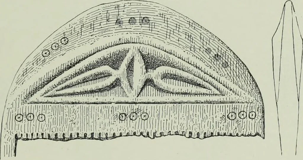 An illustration from Die altgermanische thierornamentik; typologische studie über germanische metallgegenstände aus dem IV. bis IX. jahrhundert, nebst einer studie über irische ornamentik, 1904, leaf 220