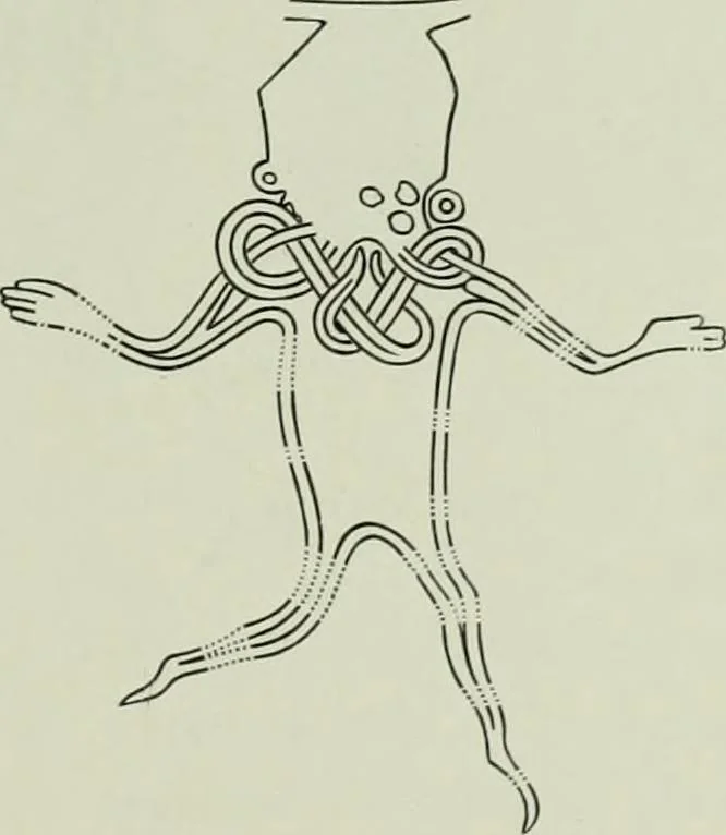 An illustration from Die altgermanische thierornamentik; typologische studie über germanische metallgegenstände aus dem IV. bis IX. jahrhundert, nebst einer studie über irische ornamentik, 1904, leaf 226