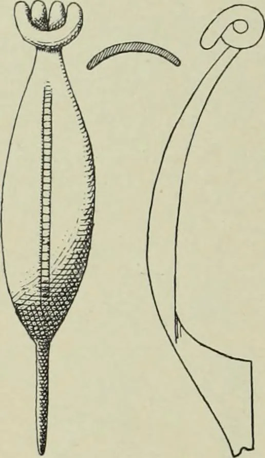 An illustration from Die altgermanische thierornamentik; typologische studie über germanische metallgegenstände aus dem IV. bis IX. jahrhundert, nebst einer studie über irische ornamentik, 1904, leaf 23