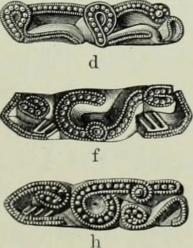 An illustration from Die altgermanische thierornamentik; typologische studie über germanische metallgegenstände aus dem IV. bis IX. jahrhundert, nebst einer studie über irische ornamentik, 1904, leaf 230