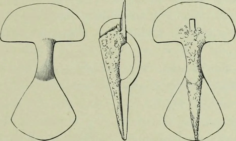 An illustration from Die altgermanische thierornamentik; typologische studie über germanische metallgegenstände aus dem IV. bis IX. jahrhundert, nebst einer studie über irische ornamentik, 1904, leaf 28