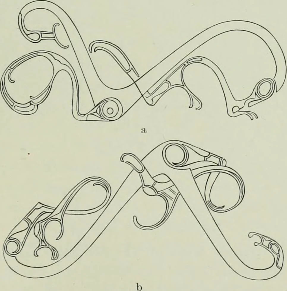 An illustration from Die altgermanische thierornamentik; typologische studie über germanische metallgegenstände aus dem IV. bis IX. jahrhundert, nebst einer studie über irische ornamentik, 1904, leaf 294