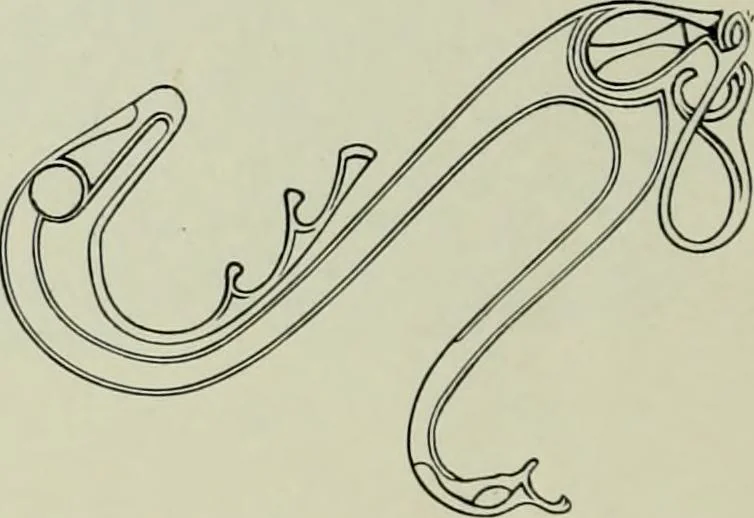 An illustration from Die altgermanische thierornamentik; typologische studie über germanische metallgegenstände aus dem IV. bis IX. jahrhundert, nebst einer studie über irische ornamentik, 1904, leaf 295