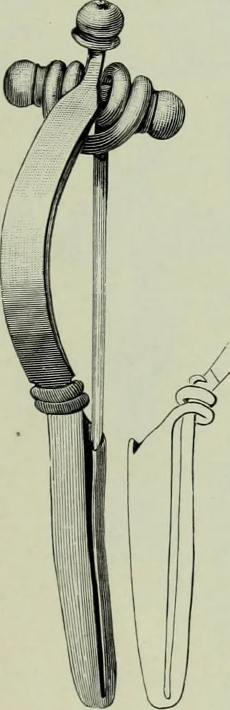 An illustration from Die altgermanische thierornamentik; typologische studie über germanische metallgegenstände aus dem IV. bis IX. jahrhundert, nebst einer studie über irische ornamentik, 1904, leaf 88