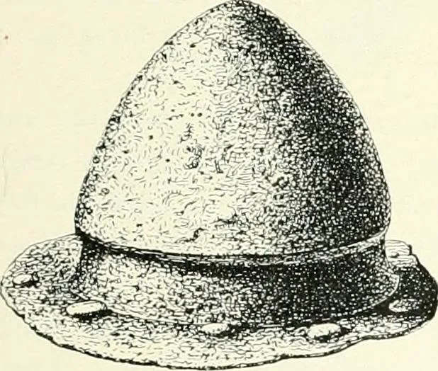 An illustration from Die altgermanische Thierornamentik : typologische Studie über germanische Metallgegenstände aus dem IV. bis IX. Jahrhundert, nebst einer Studie über irische Ornamentik, 1904, leaf 116