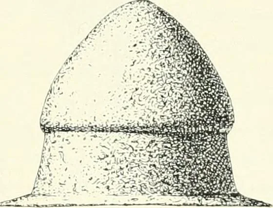 An illustration from Die altgermanische Thierornamentik : typologische Studie über germanische Metallgegenstände aus dem IV. bis IX. Jahrhundert, nebst einer Studie über irische Ornamentik, 1904, leaf 116