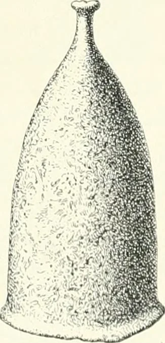 An illustration from Die altgermanische Thierornamentik : typologische Studie über germanische Metallgegenstände aus dem IV. bis IX. Jahrhundert, nebst einer Studie über irische Ornamentik, 1904, leaf 116