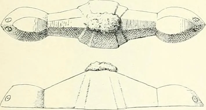 An illustration from Die altgermanische Thierornamentik : typologische Studie über germanische Metallgegenstände aus dem IV. bis IX. Jahrhundert, nebst einer Studie über irische Ornamentik, 1904, leaf 124