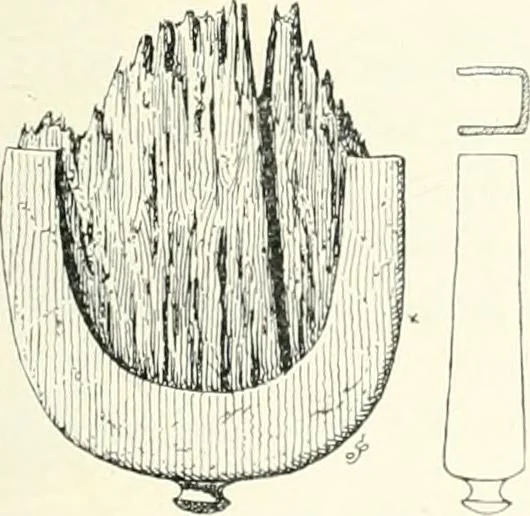 An illustration from Die altgermanische Thierornamentik : typologische Studie über germanische Metallgegenstände aus dem IV. bis IX. Jahrhundert, nebst einer Studie über irische Ornamentik, 1904, leaf 126