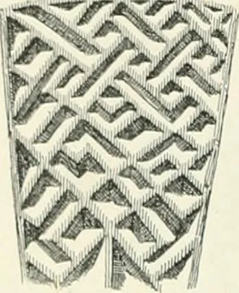 An illustration from Die altgermanische Thierornamentik : typologische Studie über germanische Metallgegenstände aus dem IV. bis IX. Jahrhundert, nebst einer Studie über irische Ornamentik, 1904, leaf 191