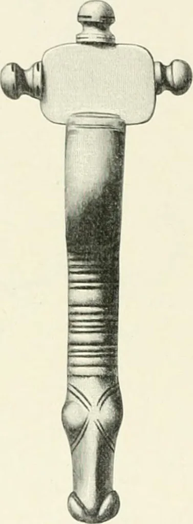 An illustration from Die altgermanische Thierornamentik : typologische Studie über germanische Metallgegenstände aus dem IV. bis IX. Jahrhundert, nebst einer Studie über irische Ornamentik, 1904, leaf 209