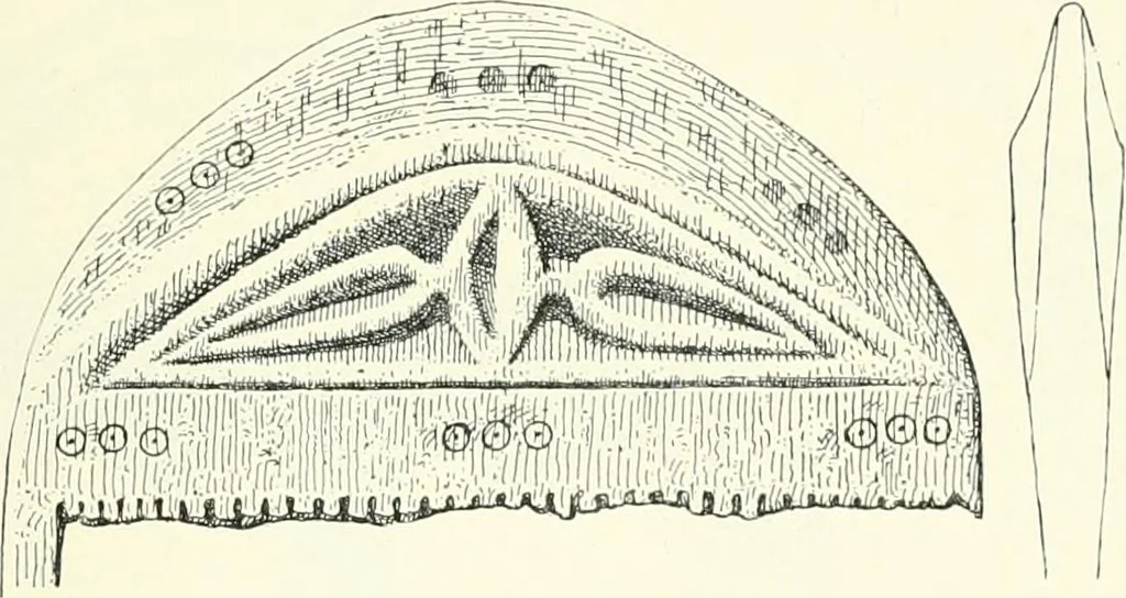 An illustration from Die altgermanische Thierornamentik : typologische Studie über germanische Metallgegenstände aus dem IV. bis IX. Jahrhundert, nebst einer Studie über irische Ornamentik, 1904, leaf 224