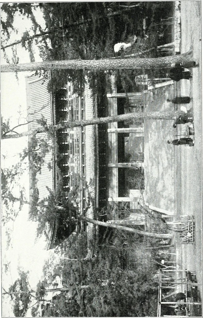 An illustration from Die Architektur der Kultbauten Japans, 1907, leaf 153