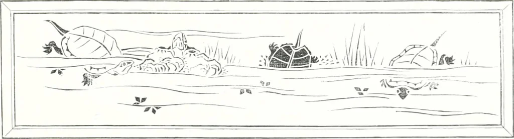 An illustration from Die Architektur der Kultbauten Japans, 1907, leaf 361