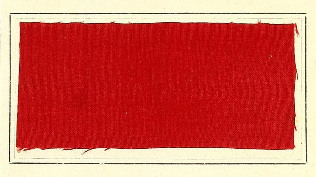 An illustration from Die auf der Faser erzeugten unlöslichen Azofarben, 1898, leaf 41