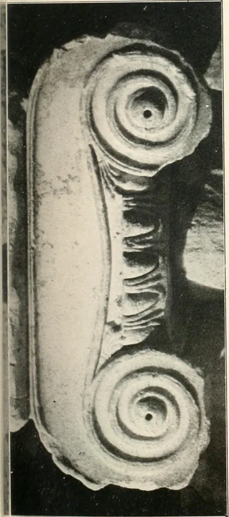 An illustration from Die Baukunst des Altertums, 1910, leaf 131
