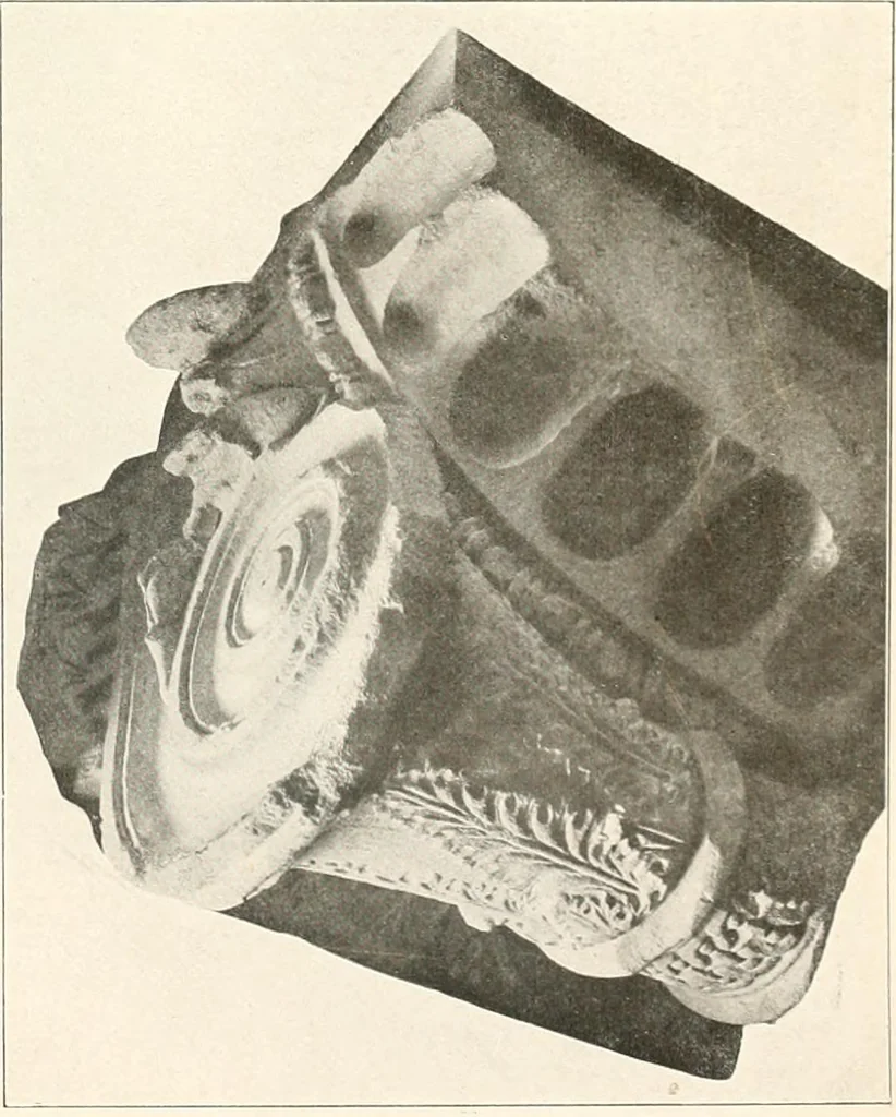 An illustration from Die Baukunst des Altertums, 1910, leaf 161