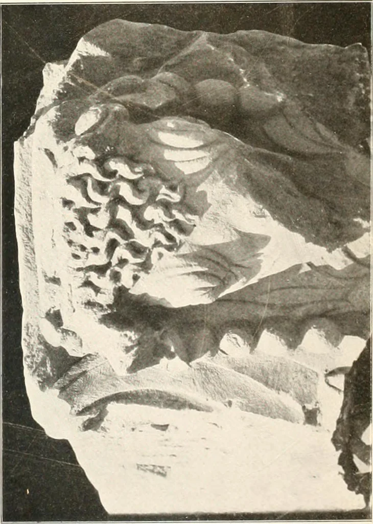 An illustration from Die Baukunst des Altertums, 1910, leaf 171