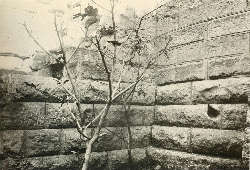 An illustration from Die Baukunst des Altertums, 1910, leaf 337
