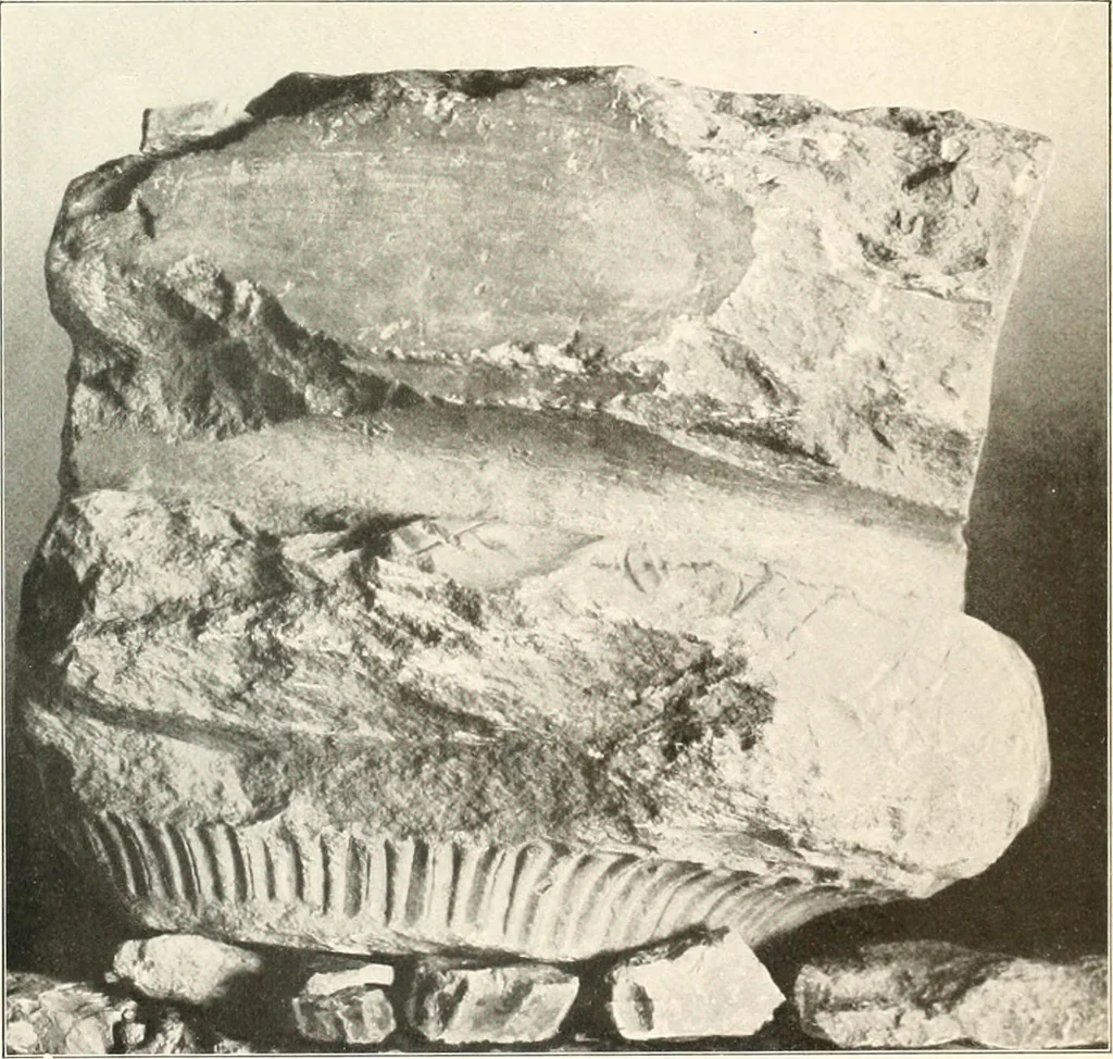 An illustration from Die Baukunst des Altertums, 1910, leaf 51