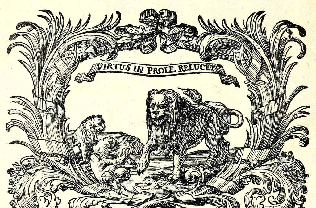 An illustration from Die Baumeisterin Pallas, oder, Der in Teutschland erstandene Palladius : das ist, des vortrefflich-italiänischen Baumeisters Andreae Palladii ziven Bücher von der Bau-Kunst ... : ins Teutsche nach dem Italiänischen übersetzet, mit nothwendigen additionibus und notis, auch dazu gehörigen Figuren erbaulich ausgerüstet, und zum erstenmal an den Tag gegeben, 1698, leaf 316