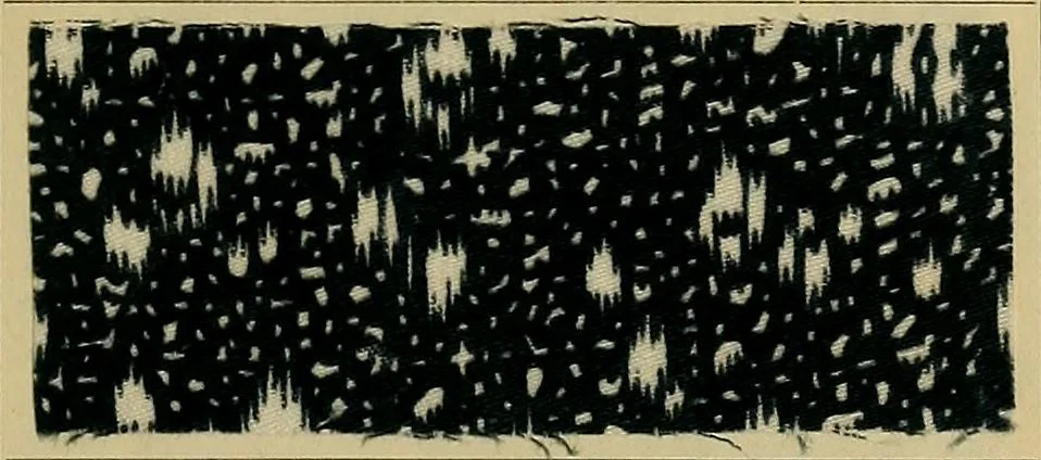 An illustration from Die Biezenfarbstoffe der Fabriken vorm. Friedr. Bayer & Co., Elberfeld, auf dem Gebiet der Fruckerei und Färberei, 1901, leaf 105