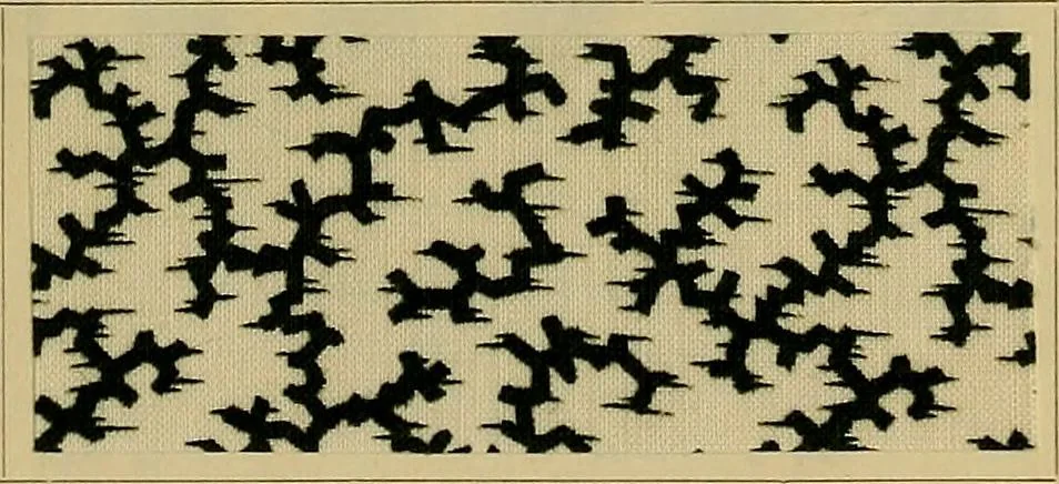 An illustration from Die Biezenfarbstoffe der Fabriken vorm. Friedr. Bayer & Co., Elberfeld, auf dem Gebiet der Fruckerei und Färberei, 1901, leaf 107