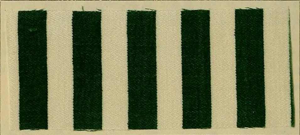 An illustration from Die Biezenfarbstoffe der Fabriken vorm. Friedr. Bayer & Co., Elberfeld, auf dem Gebiet der Fruckerei und Färberei, 1901, leaf 108