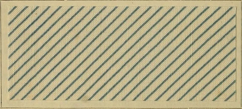 An illustration from Die Biezenfarbstoffe der Fabriken vorm. Friedr. Bayer & Co., Elberfeld, auf dem Gebiet der Fruckerei und Färberei, 1901, leaf 122