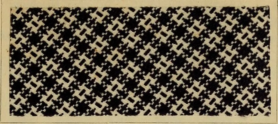 An illustration from Die Biezenfarbstoffe der Fabriken vorm. Friedr. Bayer & Co., Elberfeld, auf dem Gebiet der Fruckerei und Färberei, 1901, leaf 141