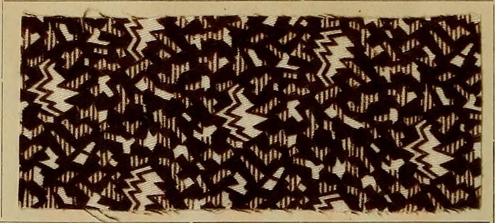 An illustration from Die Biezenfarbstoffe der Fabriken vorm. Friedr. Bayer & Co., Elberfeld, auf dem Gebiet der Fruckerei und Färberei, 1901, leaf 160
