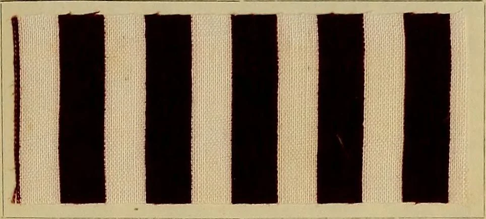 An illustration from Die Biezenfarbstoffe der Fabriken vorm. Friedr. Bayer & Co., Elberfeld, auf dem Gebiet der Fruckerei und Färberei, 1901, leaf 161