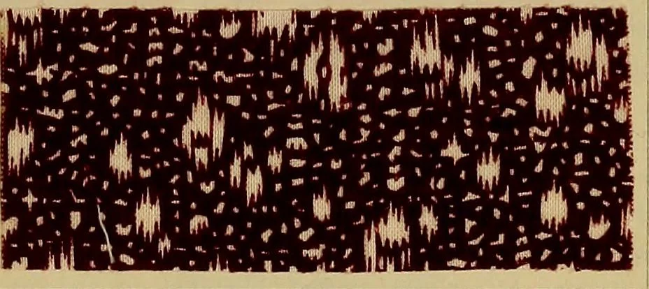 An illustration from Die Biezenfarbstoffe der Fabriken vorm. Friedr. Bayer & Co., Elberfeld, auf dem Gebiet der Fruckerei und Färberei, 1901, leaf 161