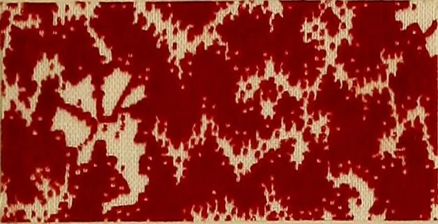 An illustration from Die Biezenfarbstoffe der Fabriken vorm. Friedr. Bayer & Co., Elberfeld, auf dem Gebiet der Fruckerei und Färberei, 1901, leaf 201