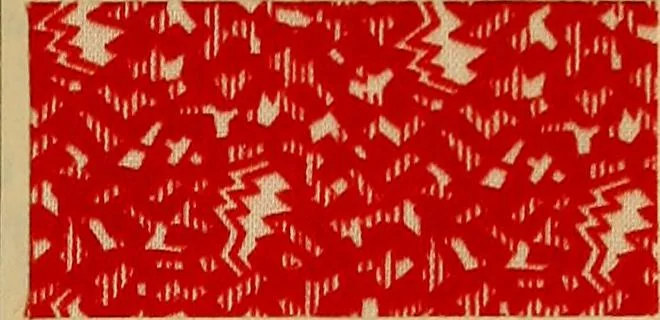 An illustration from Die Biezenfarbstoffe der Fabriken vorm. Friedr. Bayer & Co., Elberfeld, auf dem Gebiet der Fruckerei und Färberei, 1901, leaf 201