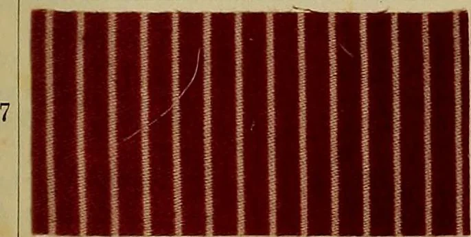 An illustration from Die Biezenfarbstoffe der Fabriken vorm. Friedr. Bayer & Co., Elberfeld, auf dem Gebiet der Fruckerei und Färberei, 1901, leaf 205