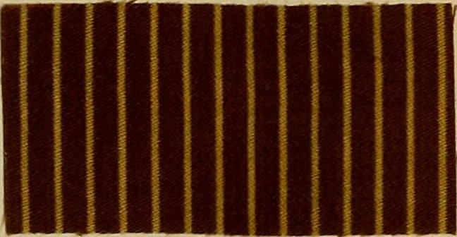 An illustration from Die Biezenfarbstoffe der Fabriken vorm. Friedr. Bayer & Co., Elberfeld, auf dem Gebiet der Fruckerei und Färberei, 1901, leaf 205