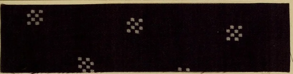 An illustration from Die Biezenfarbstoffe der Fabriken vorm. Friedr. Bayer & Co., Elberfeld, auf dem Gebiet der Fruckerei und Färberei, 1901, leaf 209