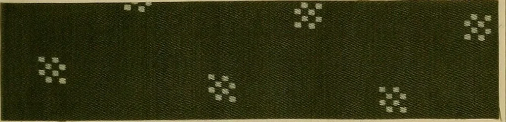 An illustration from Die Biezenfarbstoffe der Fabriken vorm. Friedr. Bayer & Co., Elberfeld, auf dem Gebiet der Fruckerei und Färberei, 1901, leaf 209