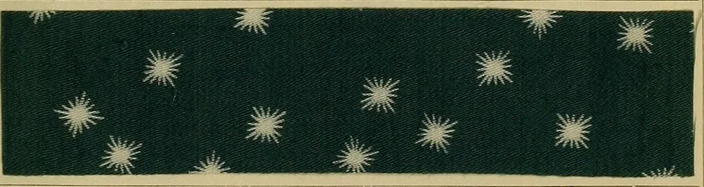 An illustration from Die Biezenfarbstoffe der Fabriken vorm. Friedr. Bayer & Co., Elberfeld, auf dem Gebiet der Fruckerei und Färberei, 1901, leaf 209