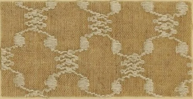 An illustration from Die Biezenfarbstoffe der Fabriken vorm. Friedr. Bayer & Co., Elberfeld, auf dem Gebiet der Fruckerei und Färberei, 1901, leaf 223