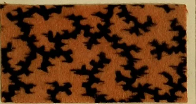 An illustration from Die Biezenfarbstoffe der Fabriken vorm. Friedr. Bayer & Co., Elberfeld, auf dem Gebiet der Fruckerei und Färberei, 1901, leaf 227