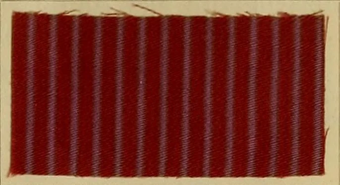 An illustration from Die Biezenfarbstoffe der Fabriken vorm. Friedr. Bayer & Co., Elberfeld, auf dem Gebiet der Fruckerei und Färberei, 1901, leaf 227