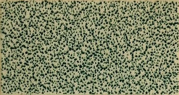 An illustration from Die Biezenfarbstoffe der Fabriken vorm. Friedr. Bayer & Co., Elberfeld, auf dem Gebiet der Fruckerei und Färberei, 1901, leaf 231