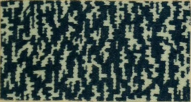 An illustration from Die Biezenfarbstoffe der Fabriken vorm. Friedr. Bayer & Co., Elberfeld, auf dem Gebiet der Fruckerei und Färberei, 1901, leaf 231