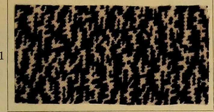 An illustration from Die Biezenfarbstoffe der Fabriken vorm. Friedr. Bayer & Co., Elberfeld, auf dem Gebiet der Fruckerei und Färberei, 1901, leaf 309