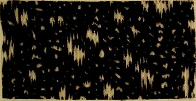 An illustration from Die Biezenfarbstoffe der Fabriken vorm. Friedr. Bayer & Co., Elberfeld, auf dem Gebiet der Fruckerei und Färberei, 1901, leaf 309