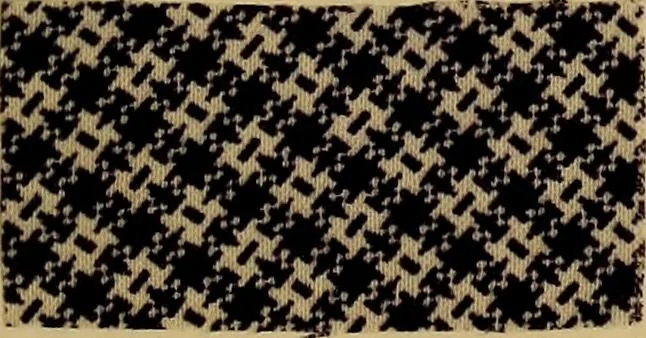 An illustration from Die Biezenfarbstoffe der Fabriken vorm. Friedr. Bayer & Co., Elberfeld, auf dem Gebiet der Fruckerei und Färberei, 1901, leaf 309