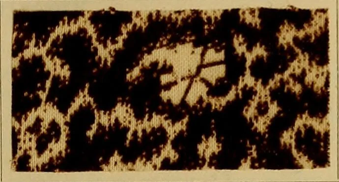 An illustration from Die Biezenfarbstoffe der Fabriken vorm. Friedr. Bayer & Co., Elberfeld, auf dem Gebiet der Fruckerei und Färberei, 1901, leaf 309